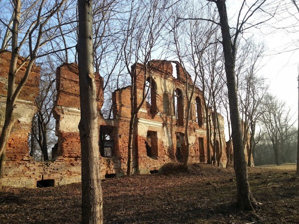 ตัวอย่างภาพถ่ายกล้อง 12 ล้านพิกเซลจาก Samsung Galaxy S III (GT-I9300) บนเว็บ Picasa