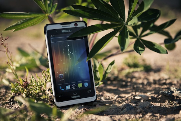 56597-nature-original