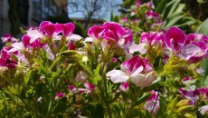 WP_20130428_003