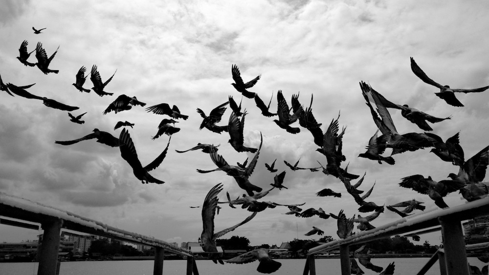 Created with Nokia Smart Cam