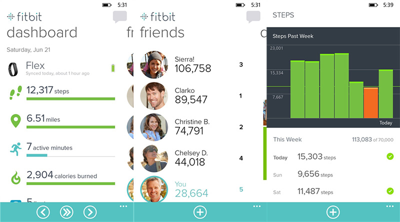 fitbit-flashfly