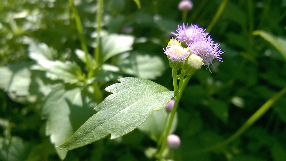 Windows Phone_20141025_15_07_47_Pro