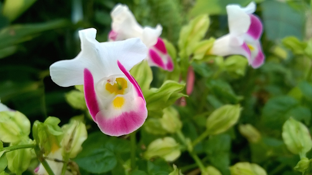 Windows Phone_20141025_15_30_14_Pro