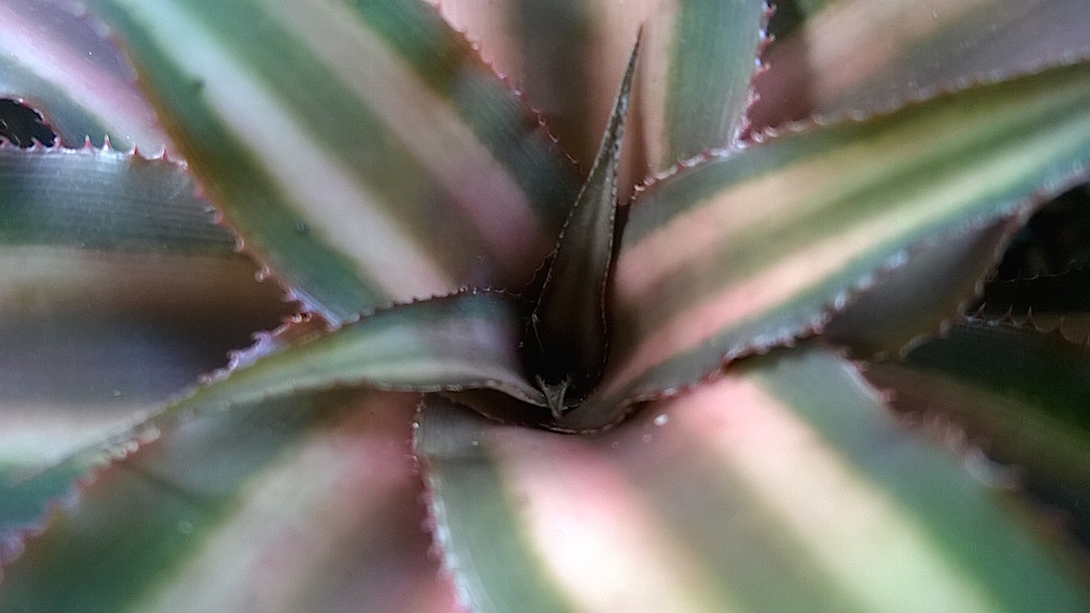 Windows Phone_20141025_15_30_38_Pro