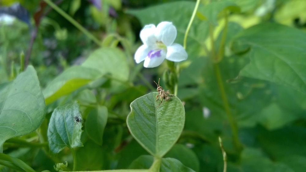 Windows Phone_20141025_15_34_01_Pro