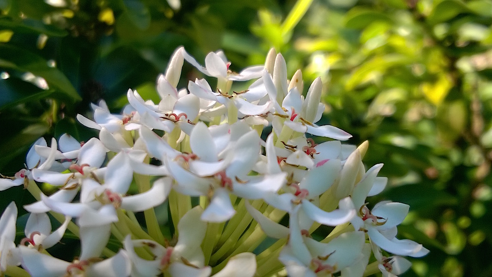 Windows Phone_20141025_15_37_51_Pro