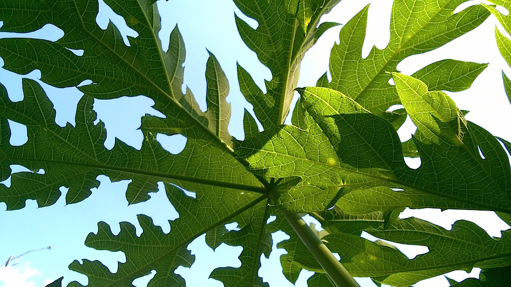 Windows Phone_20141025_15_42_37_Pro