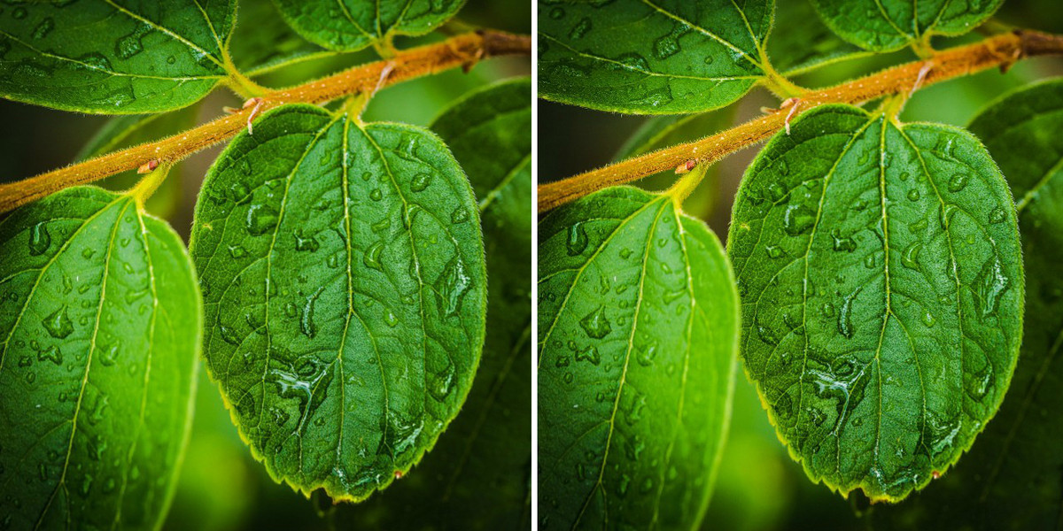 6tag-41-improvements