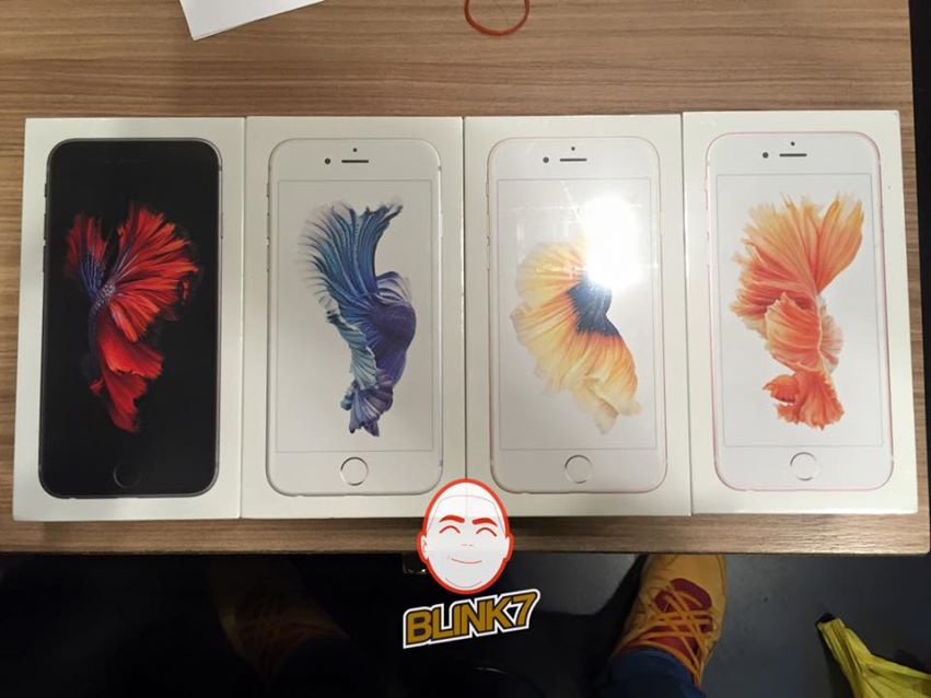 11934996_1077859142227238_8242680837416265960_n