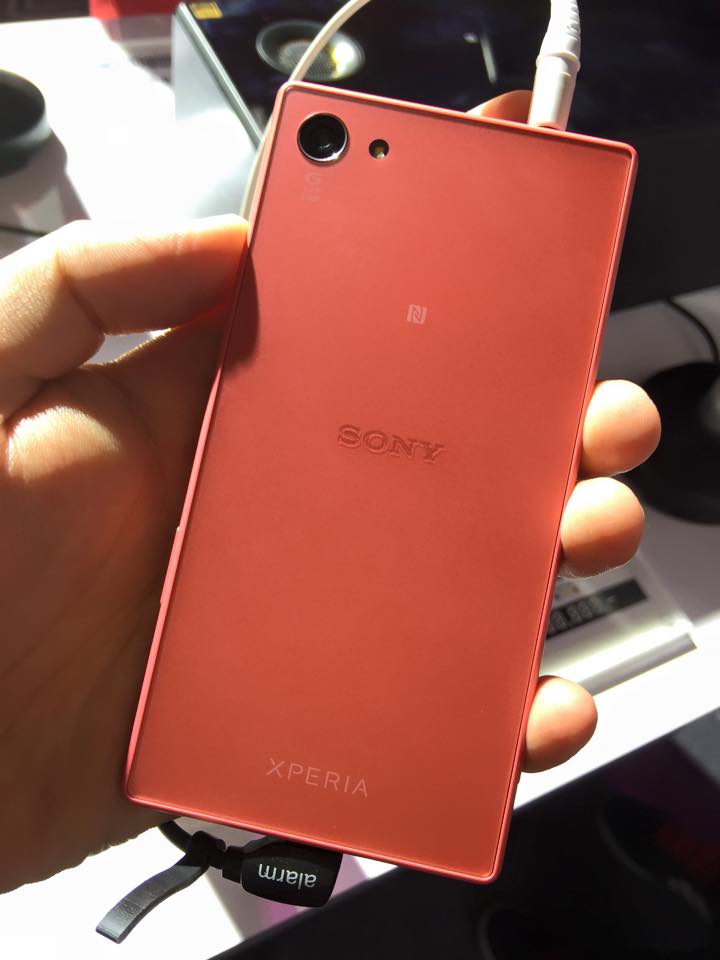 12079096_10153267847657832_749340695889872680_n