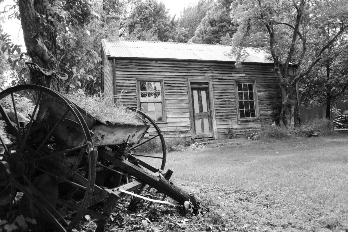 10256697_305016343002445_118118270877162628_o