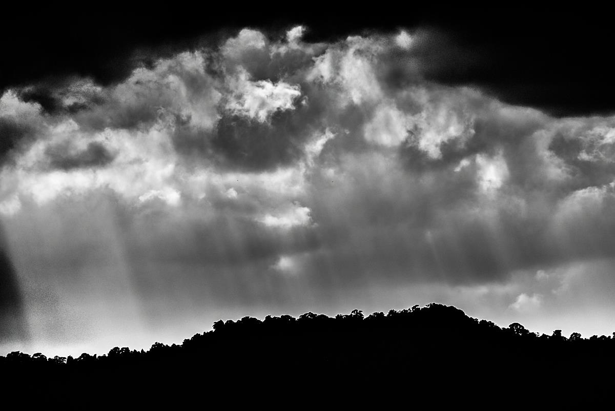 12120065_305016499669096_3839115441513467298_o