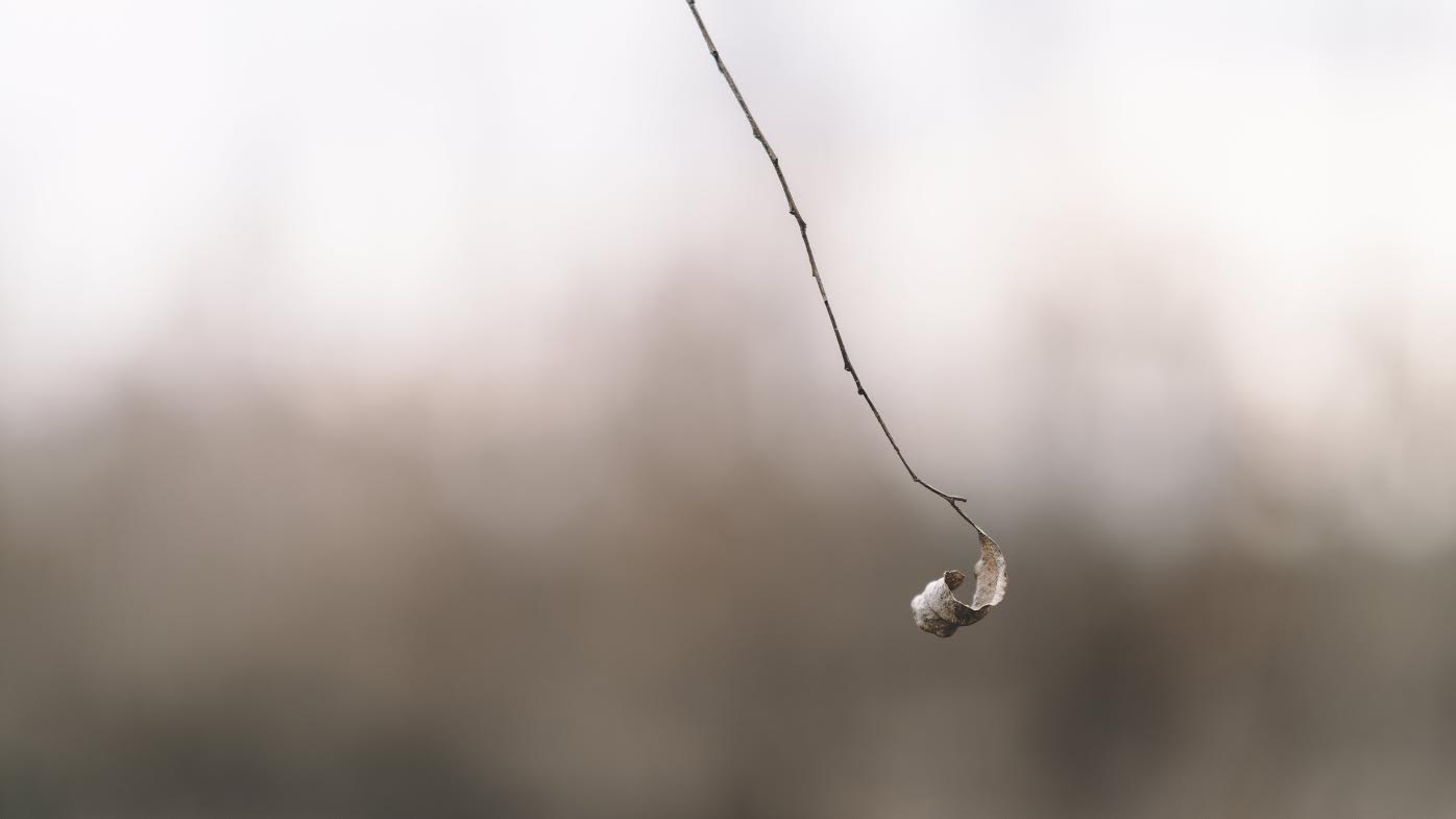 93b3383a-f397-4325-81d1-1d59295ef1a3