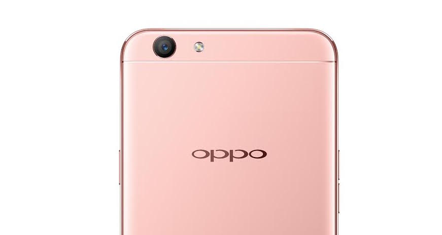 dc11a1bb-97cc-4fac-8bf0-a4d8b77f7398