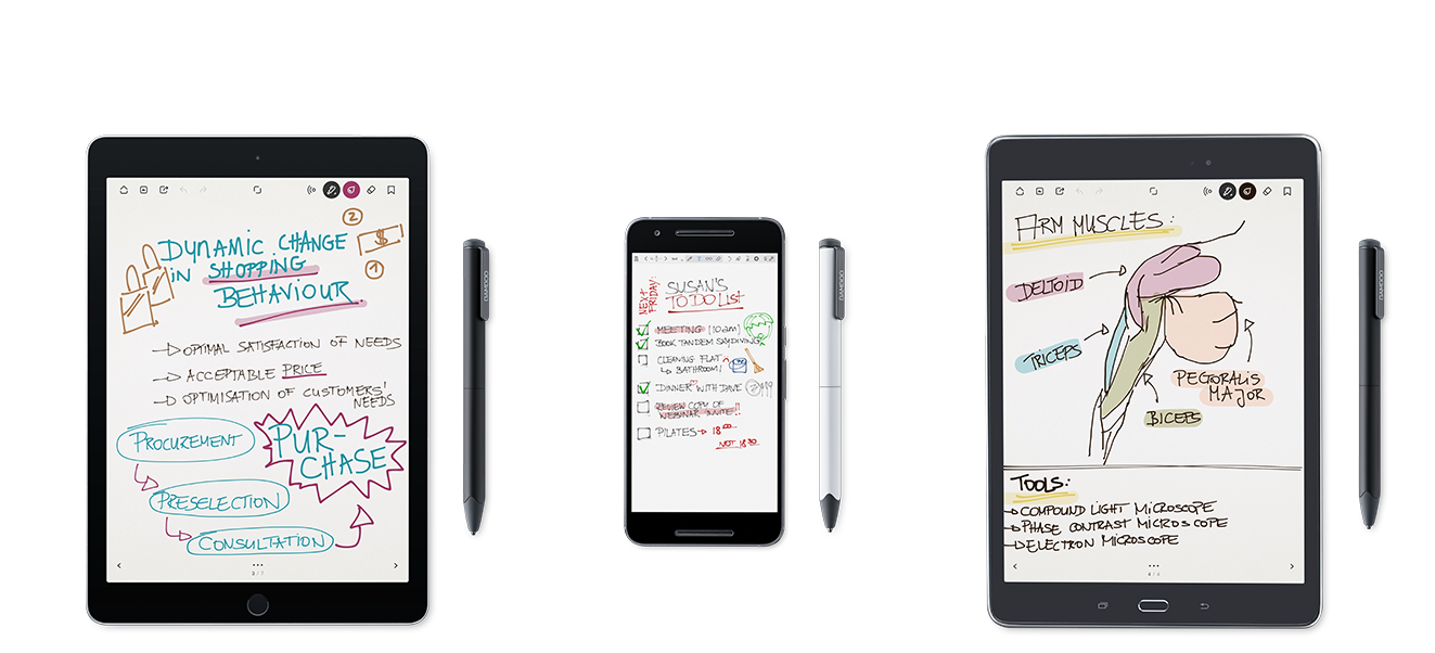 Screen Shot 2559-11-19 at 12.37.50 AM