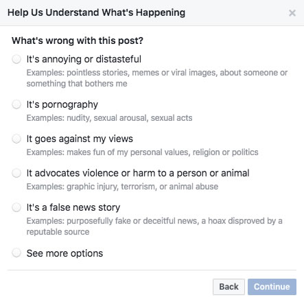 facebook-fake-news-report