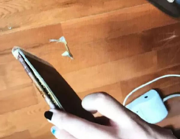 iphone-7-plus-explode