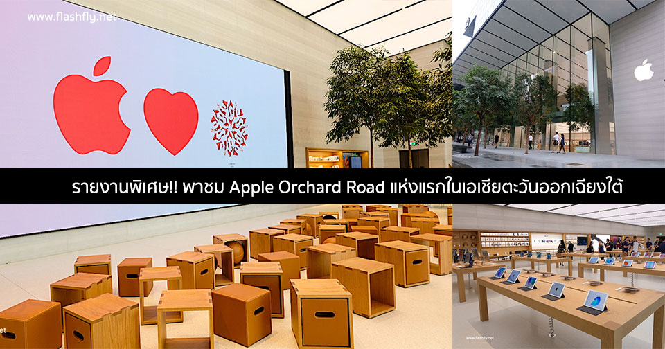 Apple-orchard-road-flashfly