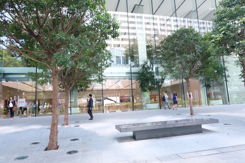 Apple-orchard-road-flashfly_0999