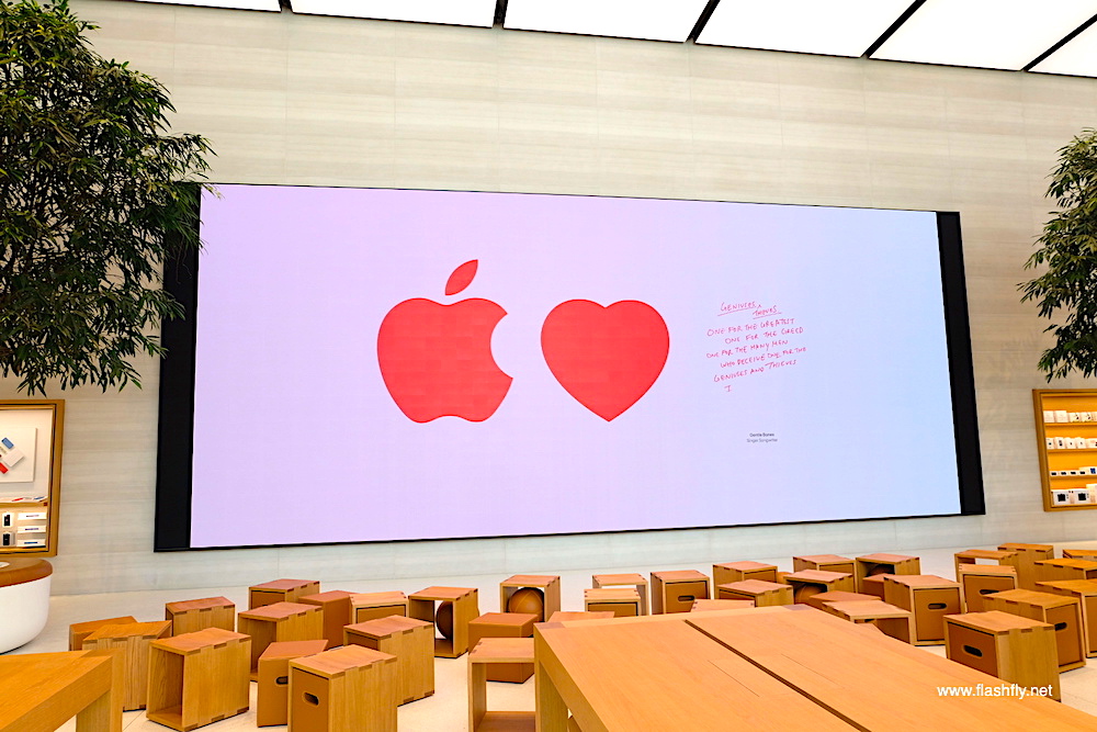 Apple-orchard-road-flashfly_1003