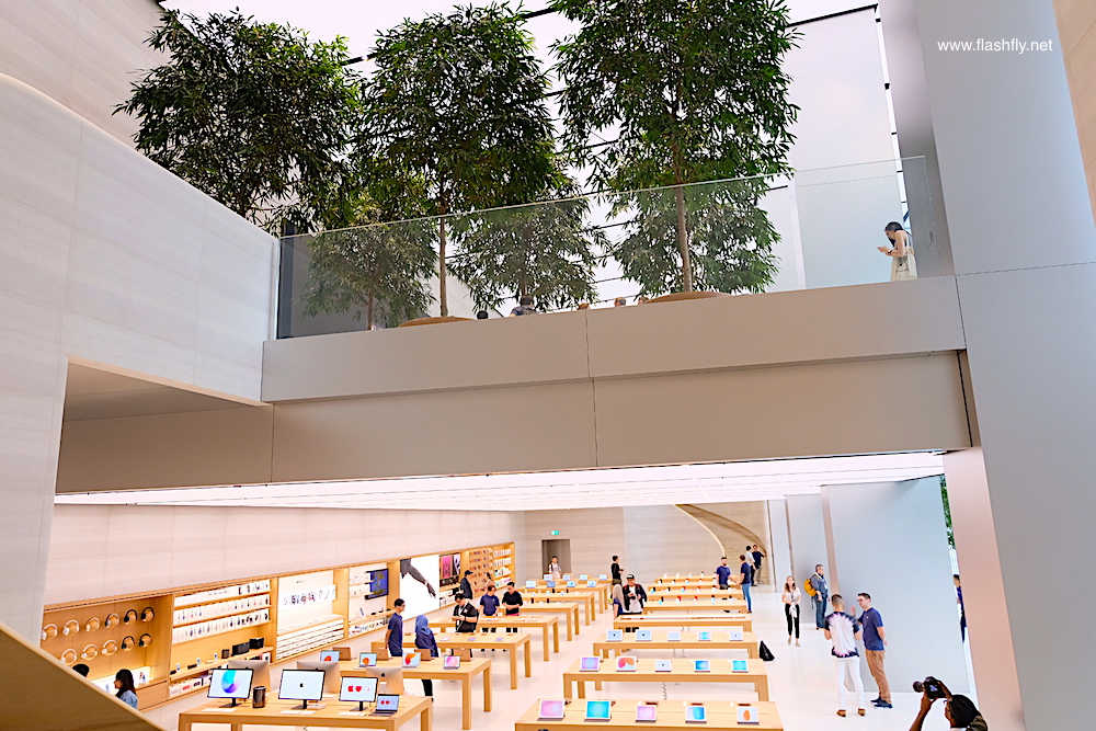 Apple-orchard-road-flashfly_1006