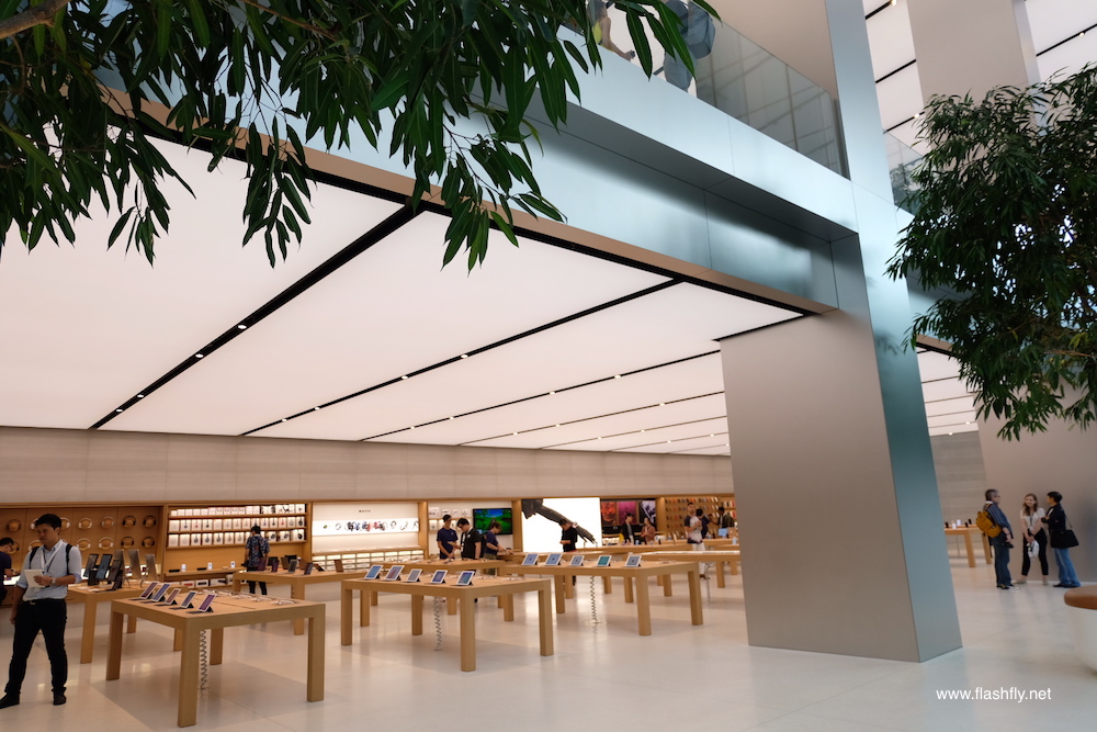 Apple-orchard-road-flashfly_1010