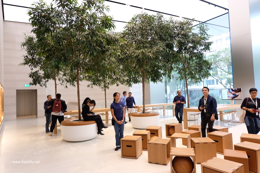 Apple-orchard-road-flashfly_1021