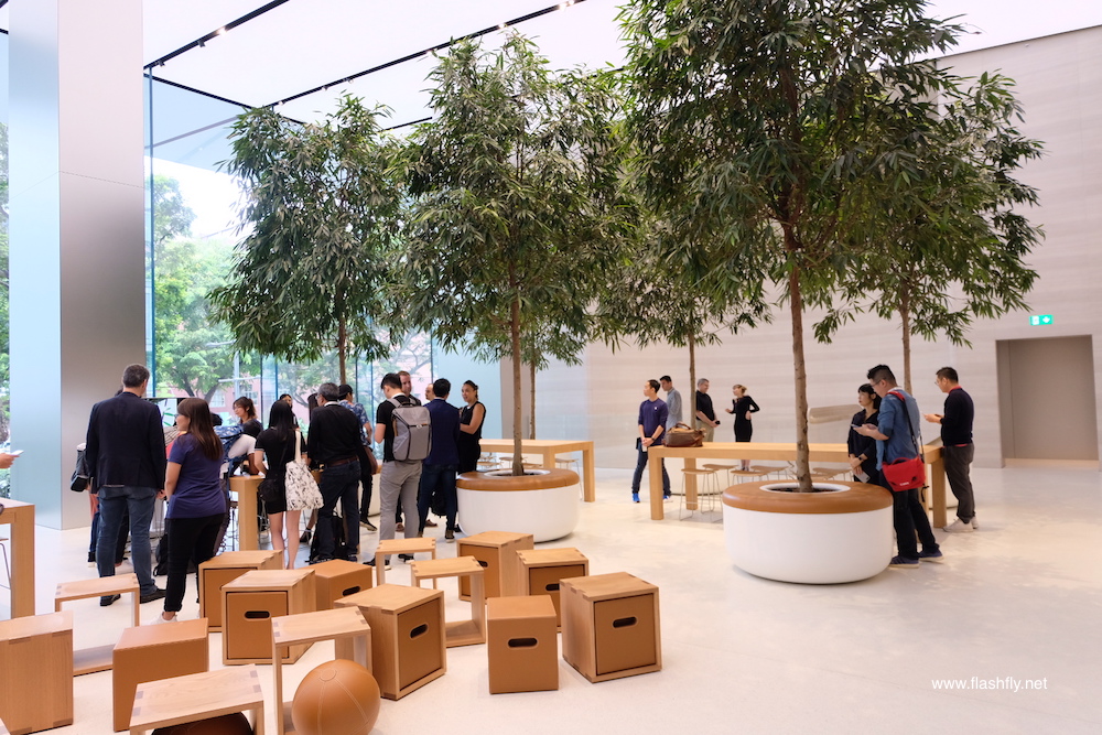 Apple-orchard-road-flashfly_1022