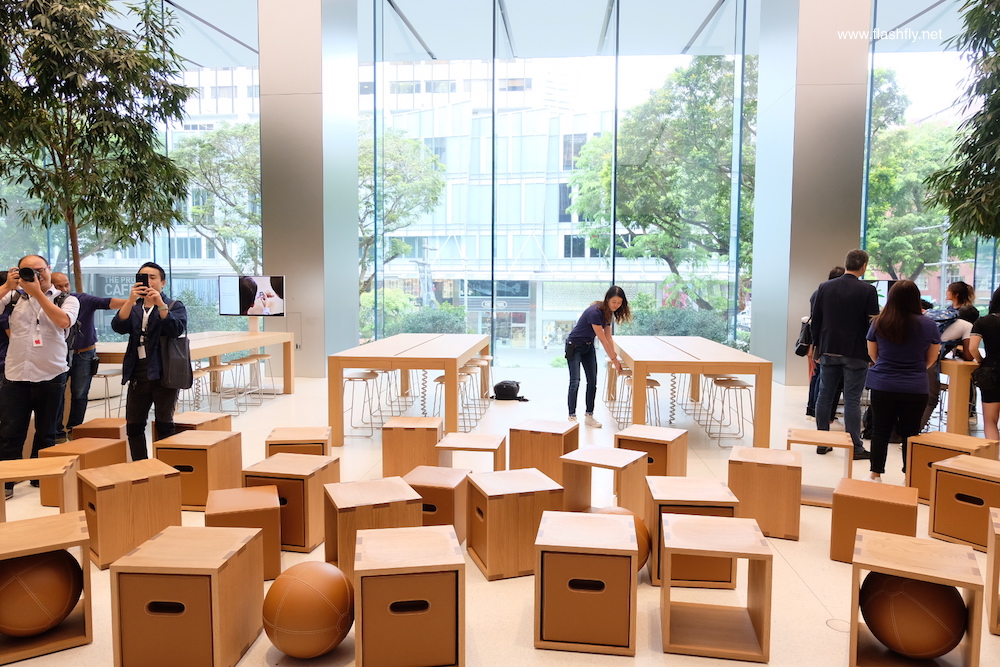 Apple-orchard-road-flashfly_1023