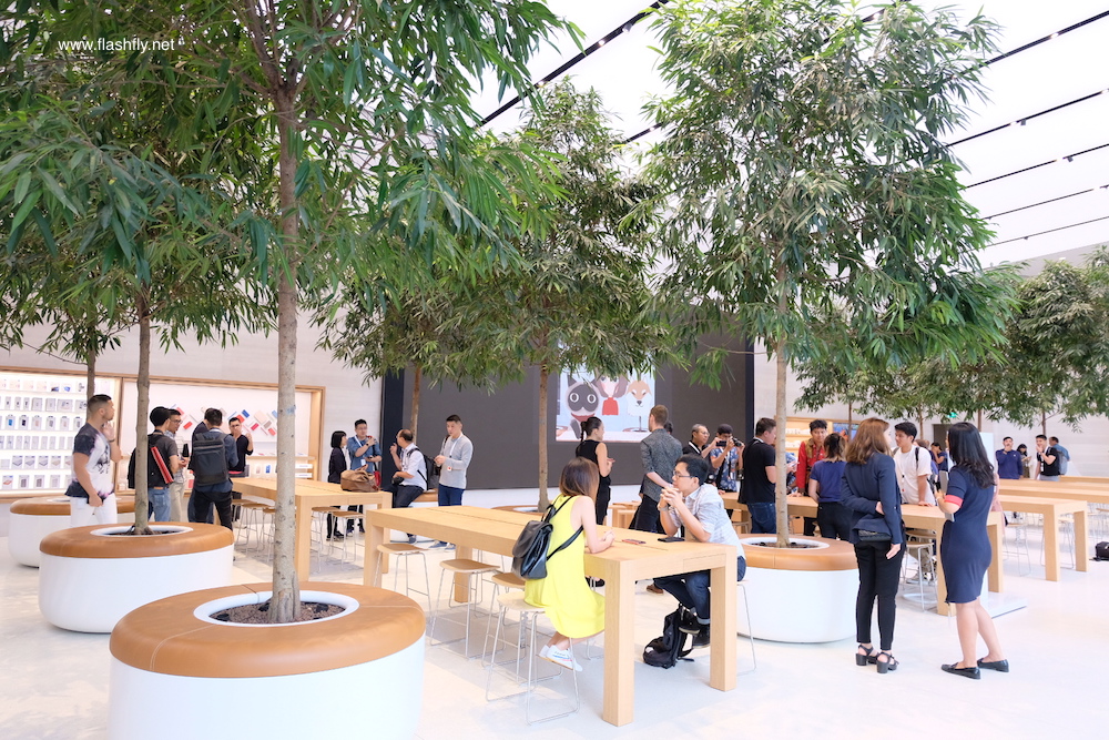 Apple-orchard-road-flashfly_1026