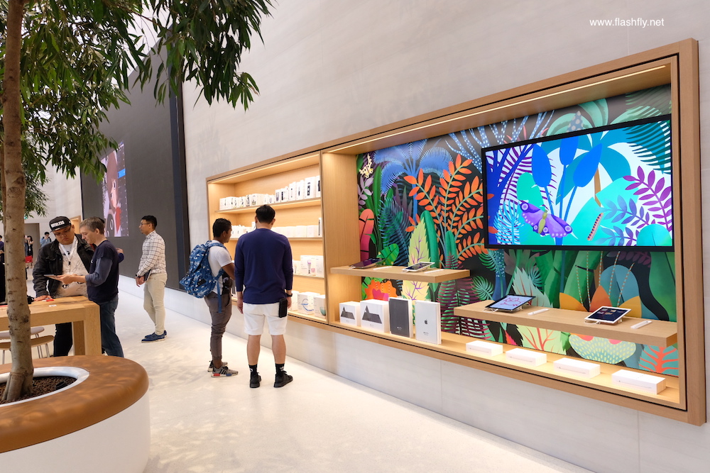 Apple-orchard-road-flashfly_1031