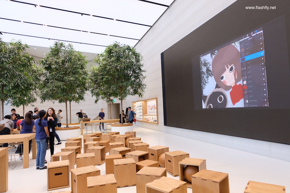 Apple-orchard-road-flashfly_1032