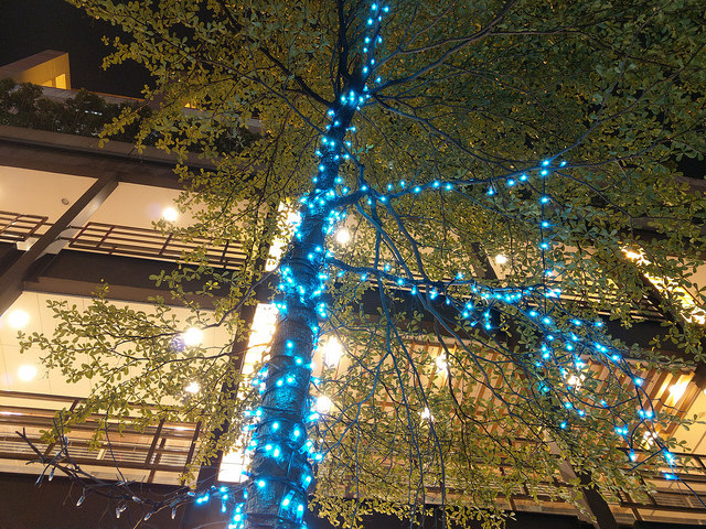 htc-u11-sample-photo- (23)