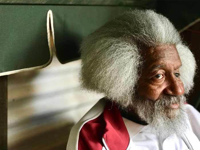 portrait-of-canada-mrparks-CDN