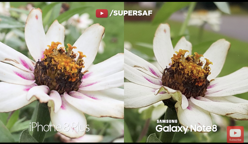 Screen Shot 2560-09-25 at 17.19.44