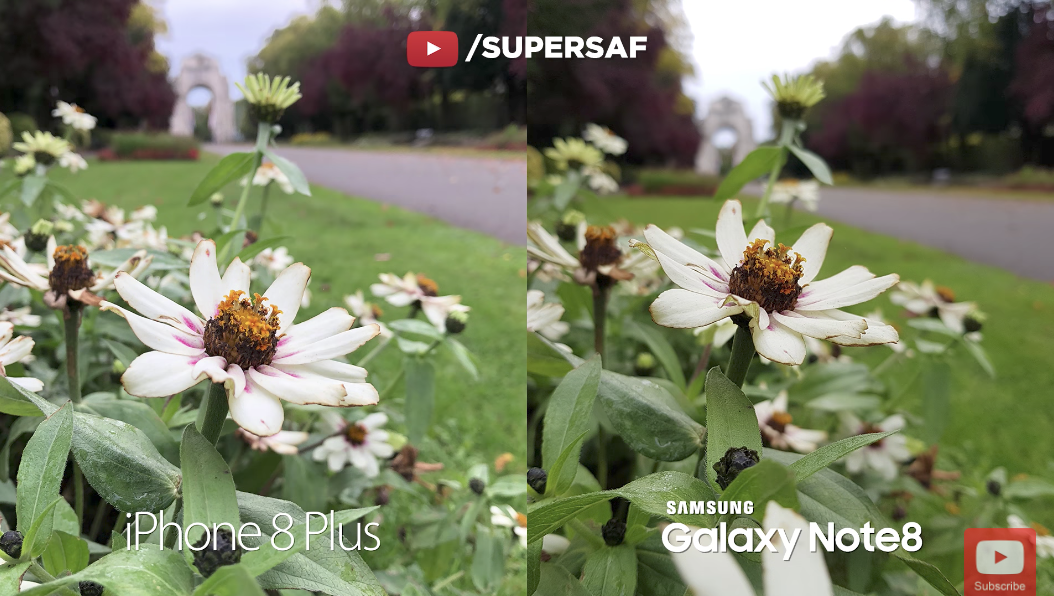 Screen Shot 2560-09-25 at 17.19.57