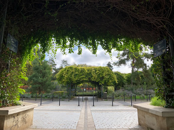 iphone-8-plus-hdr-photo