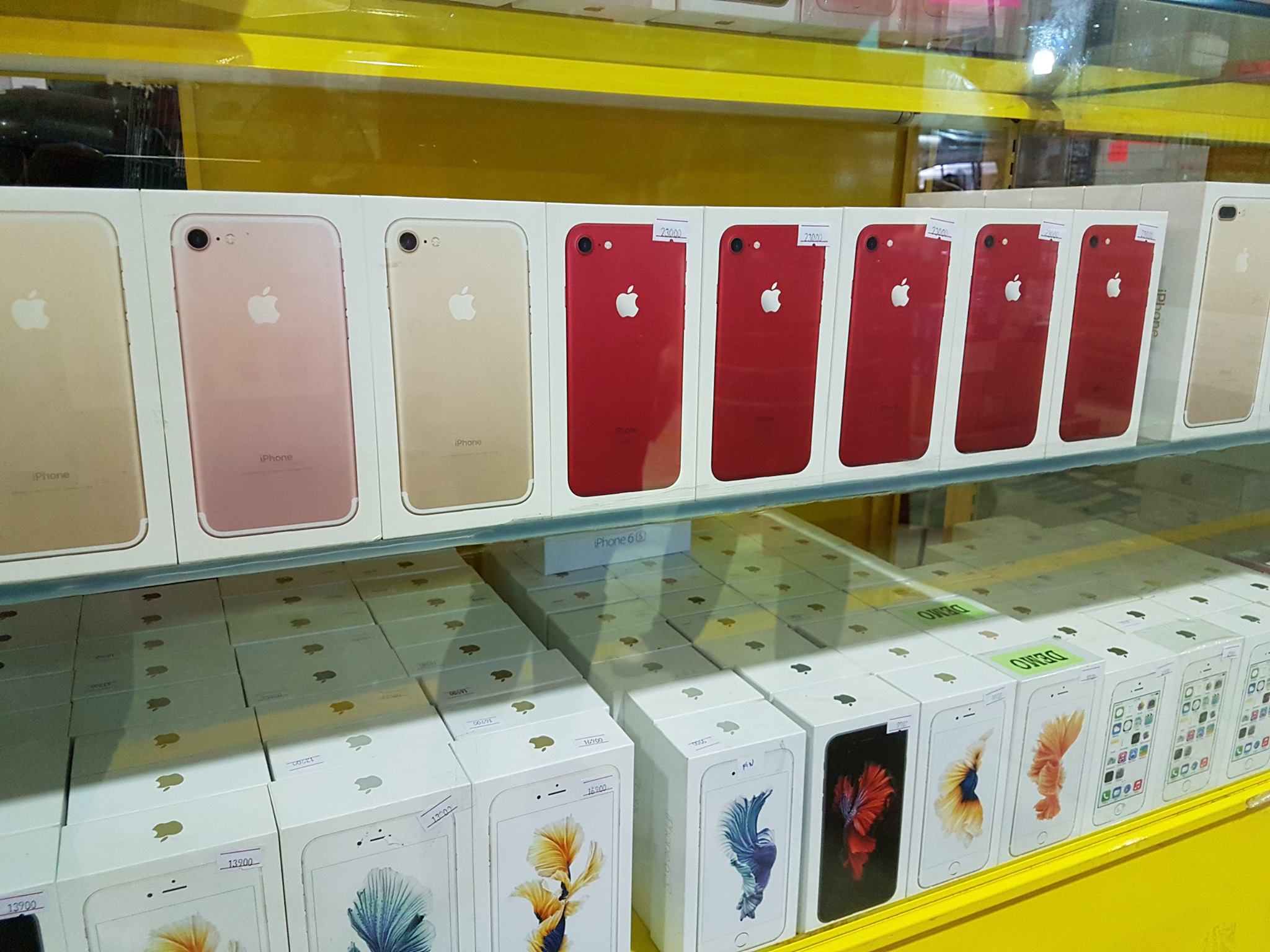 24130275_1938521342854937_8644474120134537928_o