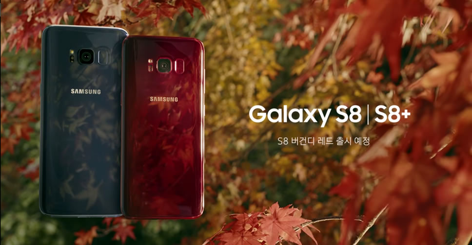 Samsung-Galaxy-S8-Burgundy-Red-2
