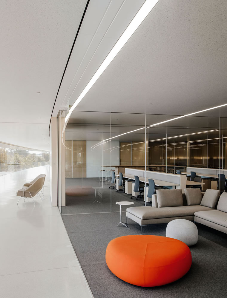 apple-park-workspace