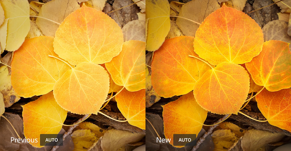 Adobe Lightroom ได้รับการอัพเดทล่าสุดในเดือนธันวาคม สำหรับ Mac, Windows, iOS, Android และ Web