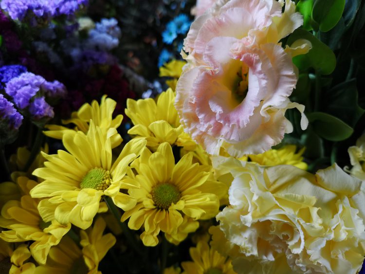 ลองของจริง!! ทดสอบใช้งานกล้อง Huawei P20 Pro สมาร์ทโฟนกล้องเทพที่สุดในขณะนี้