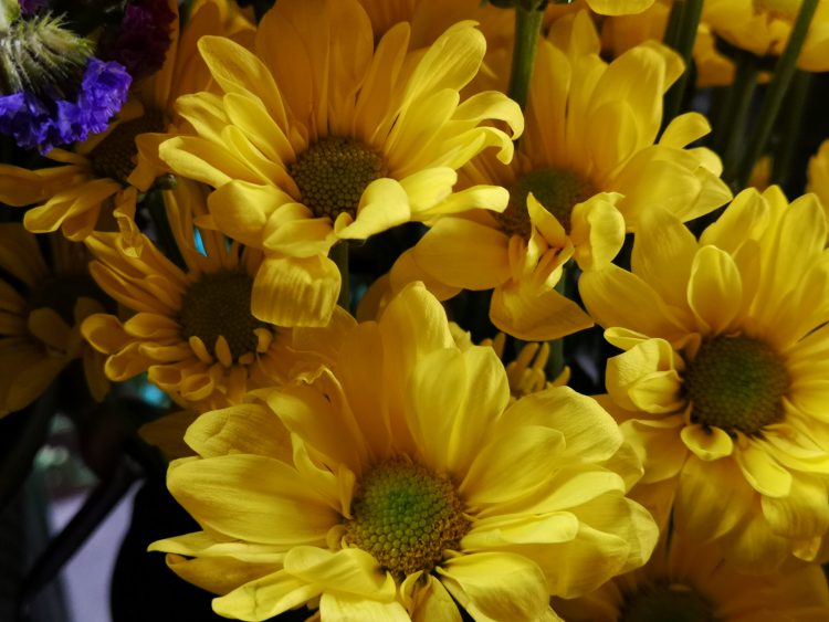 ลองของจริง!! ทดสอบใช้งานกล้อง Huawei P20 Pro สมาร์ทโฟนกล้องเทพที่สุดในขณะนี้