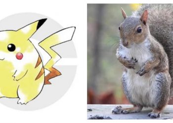 ความจริงถูกเปิดเผย!! ผู้ออกแบบบอกชัด Pikachu ไม่ใช่หนูแต่เป็นกระรอก