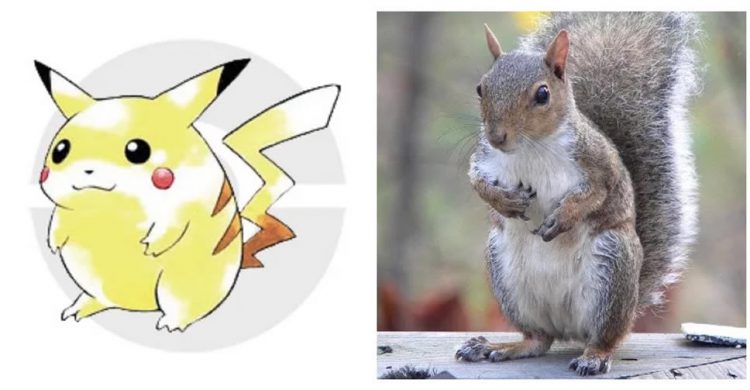 ความจริงถูกเปิดเผย!! ผู้ออกแบบบอกชัด Pikachu ไม่ใช่หนูแต่เป็นกระรอก