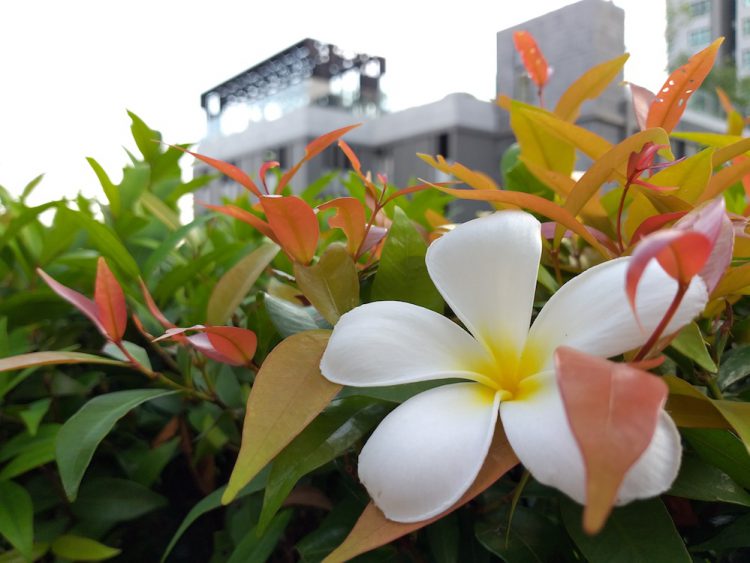 รีวิว Samsung Galaxy A6 และ A6+ สมาร์ทโฟนฟีเจอร์แฟลกชิป บอดี้โลหะ ในราคาสุดประหยัด