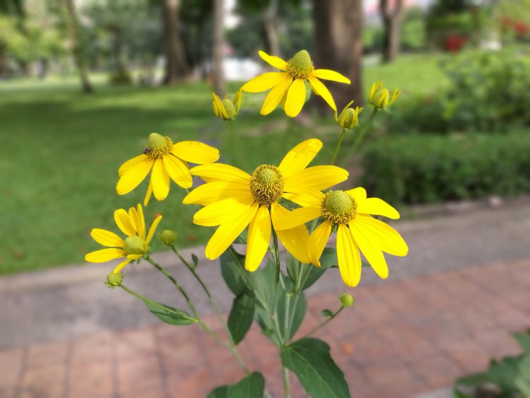 รีวิว Samsung Galaxy A8 Star จอใหญ่สะใจ 6.3 นิ้วสเปกเกมเมอร์ กล้องเลนส์คู่อัจฉริยะ F1.7 ราคา 17,990 บาท