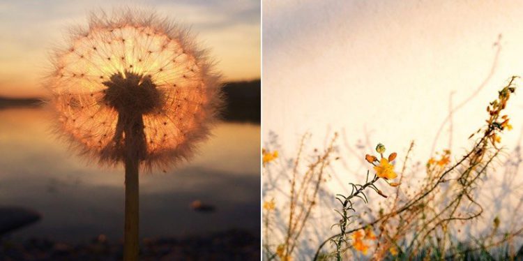 Huawei เปิดตัว Nova 3 และ Nova 3i ในไทย พร้อมเผยราคา ของแถม และกำหนดการวางจำหน่าย