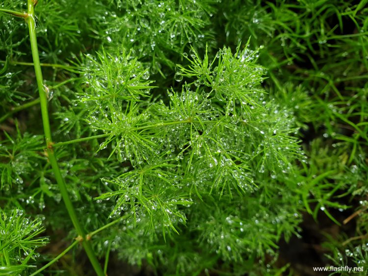 รีวิว Samsung Galaxy Note 9 มาพร้อม S Pen สุดล้ำใช้เป็นรีโมท กล้องคู่ 2 รูรับแสงพร้อม AI แบตอึด รองรับความจุ 1TB