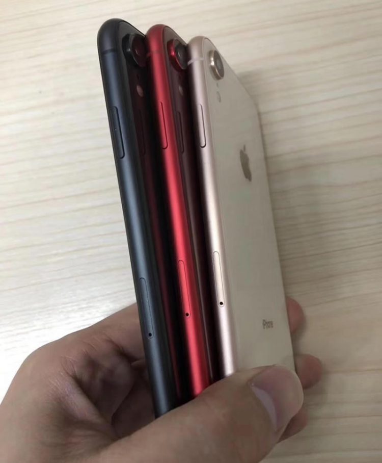ภาพหลุด iPhone รุ่น LCD 6.1 นิ้ว สีแดง, สีทอง, สีน้ำเงิน และ สีขาว รองรับ 2 ซิมการ์ด